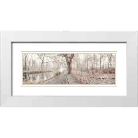 Misty forest White Modern Wood Framed Art Print with Double Matting by Frank, Assaf