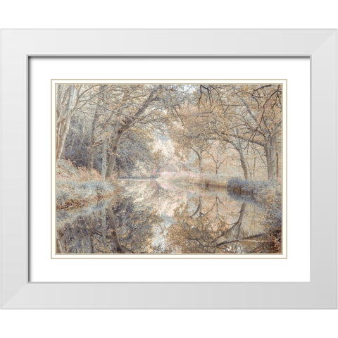 Canal through forest White Modern Wood Framed Art Print with Double Matting by Frank, Assaf