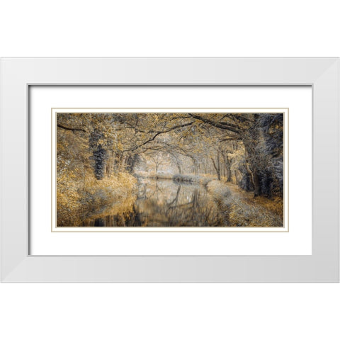Canal through forest White Modern Wood Framed Art Print with Double Matting by Frank, Assaf
