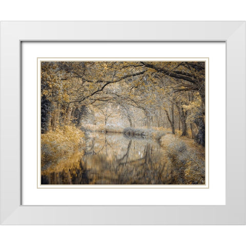 Canal through forest White Modern Wood Framed Art Print with Double Matting by Frank, Assaf