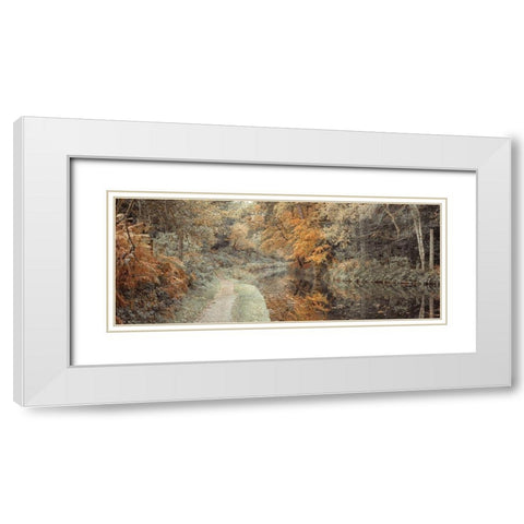 Pathway by canal in Forest White Modern Wood Framed Art Print with Double Matting by Frank, Assaf