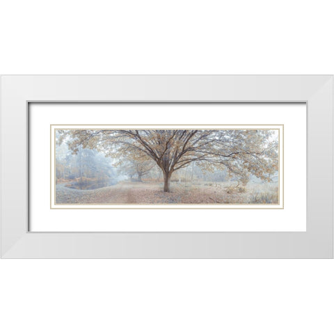 Canal through forest White Modern Wood Framed Art Print with Double Matting by Frank, Assaf