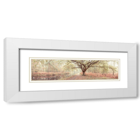 Canal through forest White Modern Wood Framed Art Print with Double Matting by Frank, Assaf
