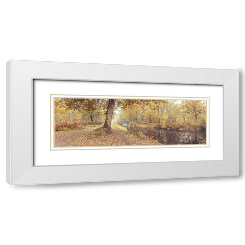 Canal through forest White Modern Wood Framed Art Print with Double Matting by Frank, Assaf
