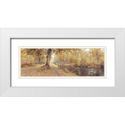 Canal through forest White Modern Wood Framed Art Print with Double Matting by Frank, Assaf