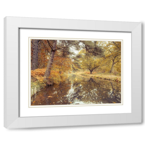 Canal through forest White Modern Wood Framed Art Print with Double Matting by Frank, Assaf