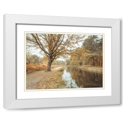 Canal through forest White Modern Wood Framed Art Print with Double Matting by Frank, Assaf