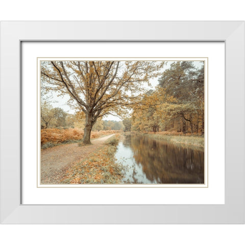 Canal through forest White Modern Wood Framed Art Print with Double Matting by Frank, Assaf