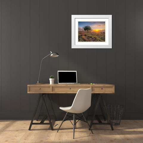 Lone tree sunset-New Forest White Modern Wood Framed Art Print with Double Matting by Frank, Assaf