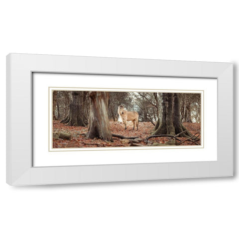 Horse in forest White Modern Wood Framed Art Print with Double Matting by Frank, Assaf