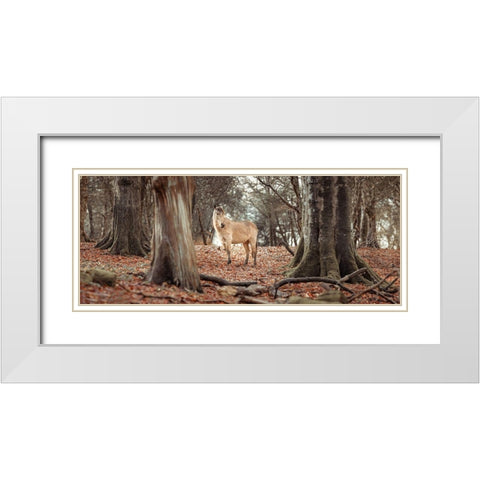Horse in forest White Modern Wood Framed Art Print with Double Matting by Frank, Assaf