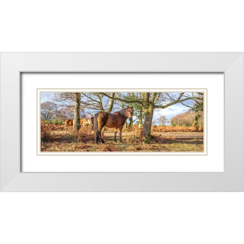 Horse in forest White Modern Wood Framed Art Print with Double Matting by Frank, Assaf