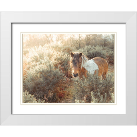 Horse in forest White Modern Wood Framed Art Print with Double Matting by Frank, Assaf