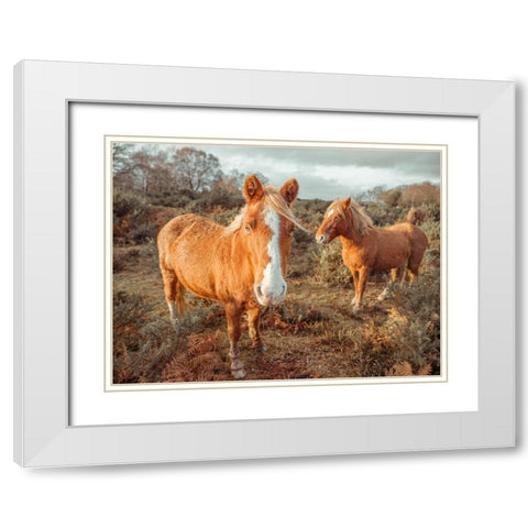 Horses in forest White Modern Wood Framed Art Print with Double Matting by Frank, Assaf