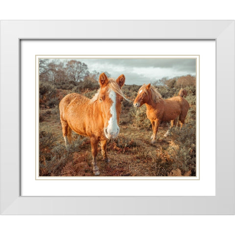 Horses in forest White Modern Wood Framed Art Print with Double Matting by Frank, Assaf