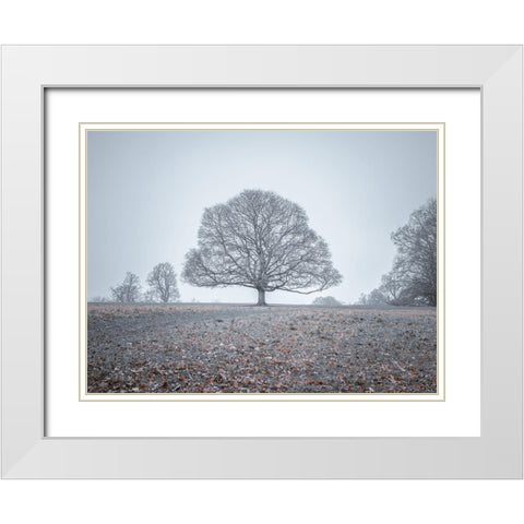 Single tree in meadow White Modern Wood Framed Art Print with Double Matting by Frank, Assaf