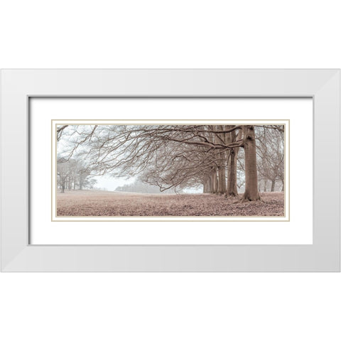 Trees in a row White Modern Wood Framed Art Print with Double Matting by Frank, Assaf