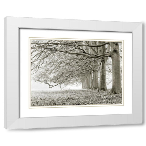 Trees in a row White Modern Wood Framed Art Print with Double Matting by Frank, Assaf