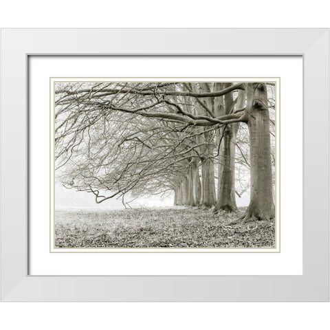 Trees in a row White Modern Wood Framed Art Print with Double Matting by Frank, Assaf