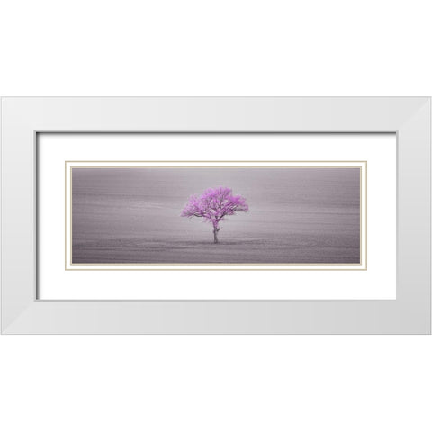 Single tree in foggy field White Modern Wood Framed Art Print with Double Matting by Frank, Assaf
