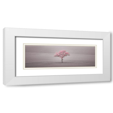Single tree in foggy field White Modern Wood Framed Art Print with Double Matting by Frank, Assaf