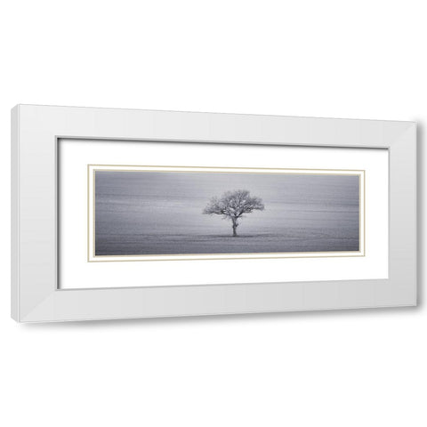 Single tree in foggy grassfield White Modern Wood Framed Art Print with Double Matting by Frank, Assaf