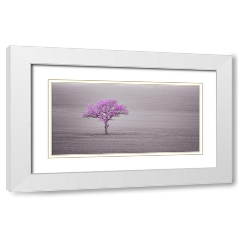 Single tree in foggy grassfield White Modern Wood Framed Art Print with Double Matting by Frank, Assaf