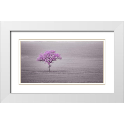 Single tree in foggy grassfield White Modern Wood Framed Art Print with Double Matting by Frank, Assaf