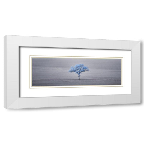 Single tree in foggy grassfield White Modern Wood Framed Art Print with Double Matting by Frank, Assaf