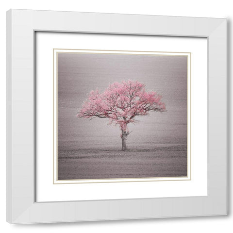 Single tree in foggy grassfield White Modern Wood Framed Art Print with Double Matting by Frank, Assaf