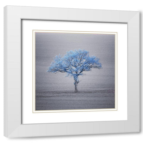 Single tree in foggy grassfield White Modern Wood Framed Art Print with Double Matting by Frank, Assaf