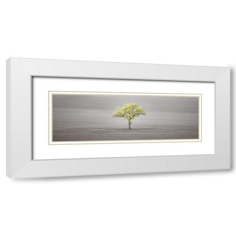Single tree in foggy field White Modern Wood Framed Art Print with Double Matting by Frank, Assaf