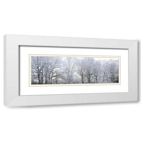 Misty forest White Modern Wood Framed Art Print with Double Matting by Frank, Assaf