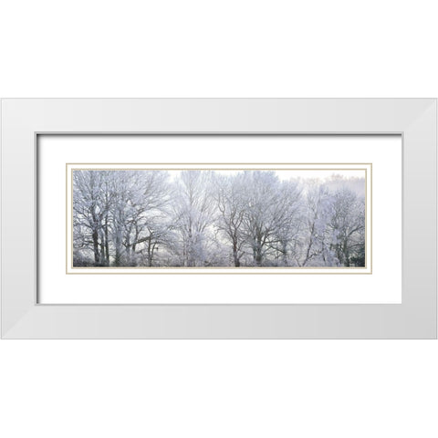 Misty forest White Modern Wood Framed Art Print with Double Matting by Frank, Assaf