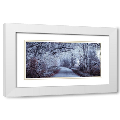 Frosted road through forest White Modern Wood Framed Art Print with Double Matting by Frank, Assaf