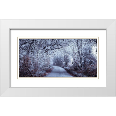 Frosted road through forest White Modern Wood Framed Art Print with Double Matting by Frank, Assaf