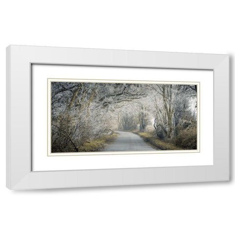 Frosted road through forest White Modern Wood Framed Art Print with Double Matting by Frank, Assaf