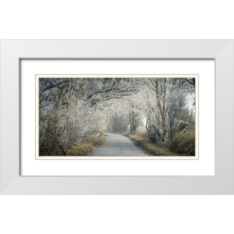 Frosted road through forest White Modern Wood Framed Art Print with Double Matting by Frank, Assaf