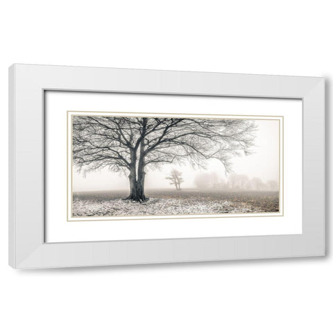 Misty forest White Modern Wood Framed Art Print with Double Matting by Frank, Assaf