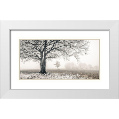 Misty forest White Modern Wood Framed Art Print with Double Matting by Frank, Assaf