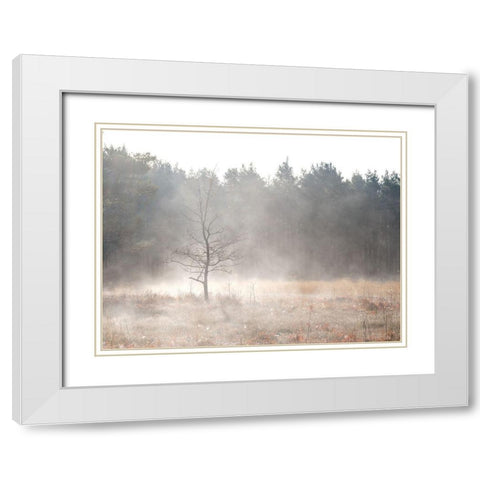 Misty forest White Modern Wood Framed Art Print with Double Matting by Frank, Assaf