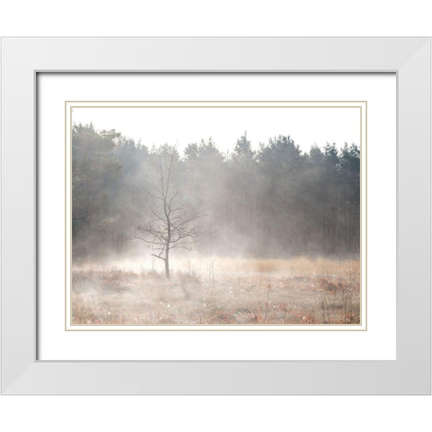 Misty forest White Modern Wood Framed Art Print with Double Matting by Frank, Assaf