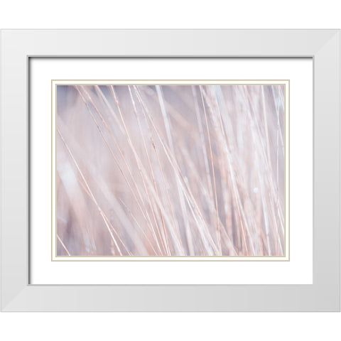 Dried grass White Modern Wood Framed Art Print with Double Matting by Frank, Assaf