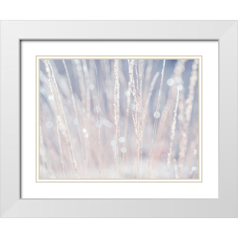 Dried grass White Modern Wood Framed Art Print with Double Matting by Frank, Assaf