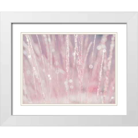 Dried grass White Modern Wood Framed Art Print with Double Matting by Frank, Assaf