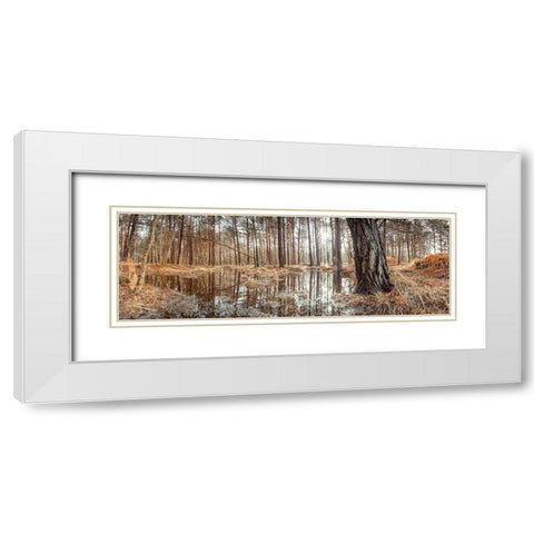 Canal through forest White Modern Wood Framed Art Print with Double Matting by Frank, Assaf