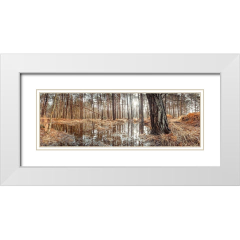 Canal through forest White Modern Wood Framed Art Print with Double Matting by Frank, Assaf