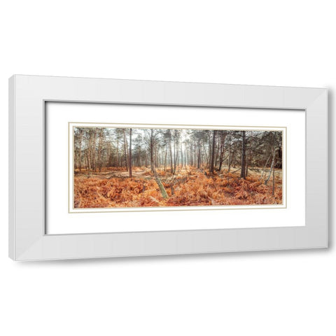 Autumn forest White Modern Wood Framed Art Print with Double Matting by Frank, Assaf