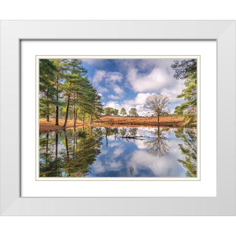Trees by a lake White Modern Wood Framed Art Print with Double Matting by Frank, Assaf