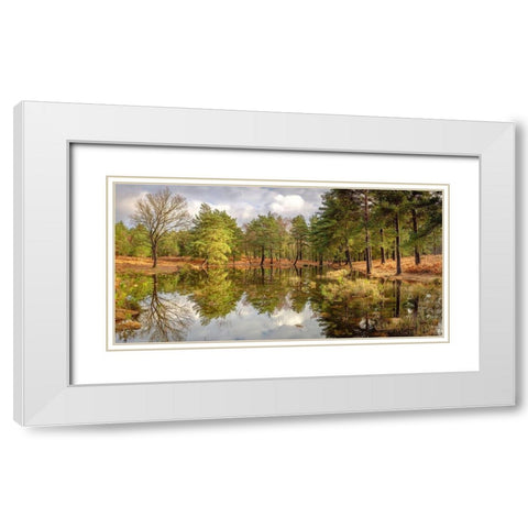 Canal through forest White Modern Wood Framed Art Print with Double Matting by Frank, Assaf